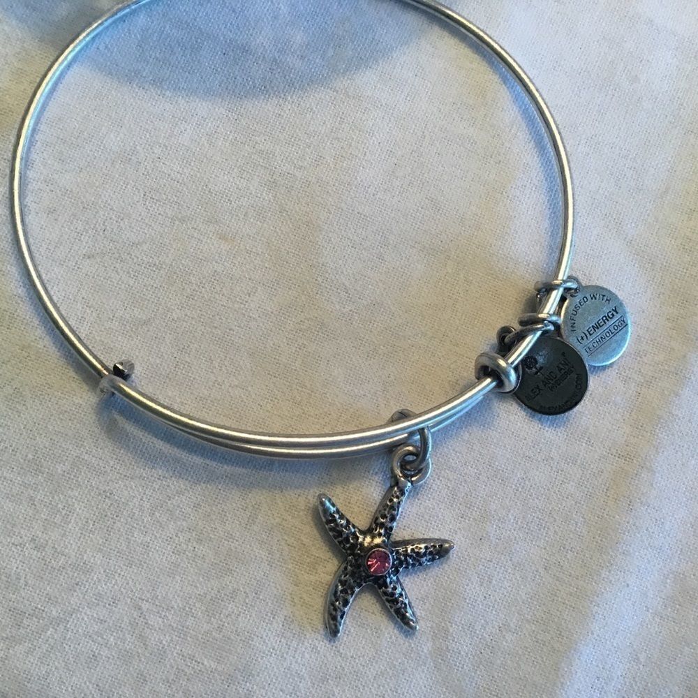 Alex & Ani Silvertone Bangle - Picture 7 of 7
